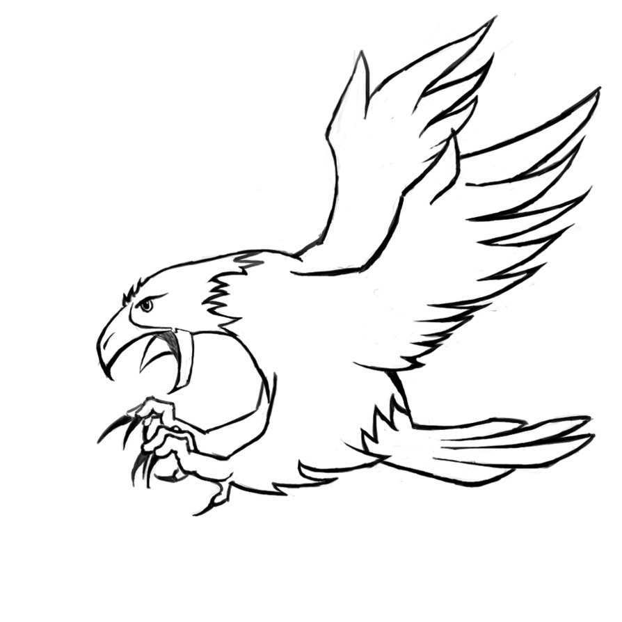 Detail Menggambar Burung Elang Nomer 47