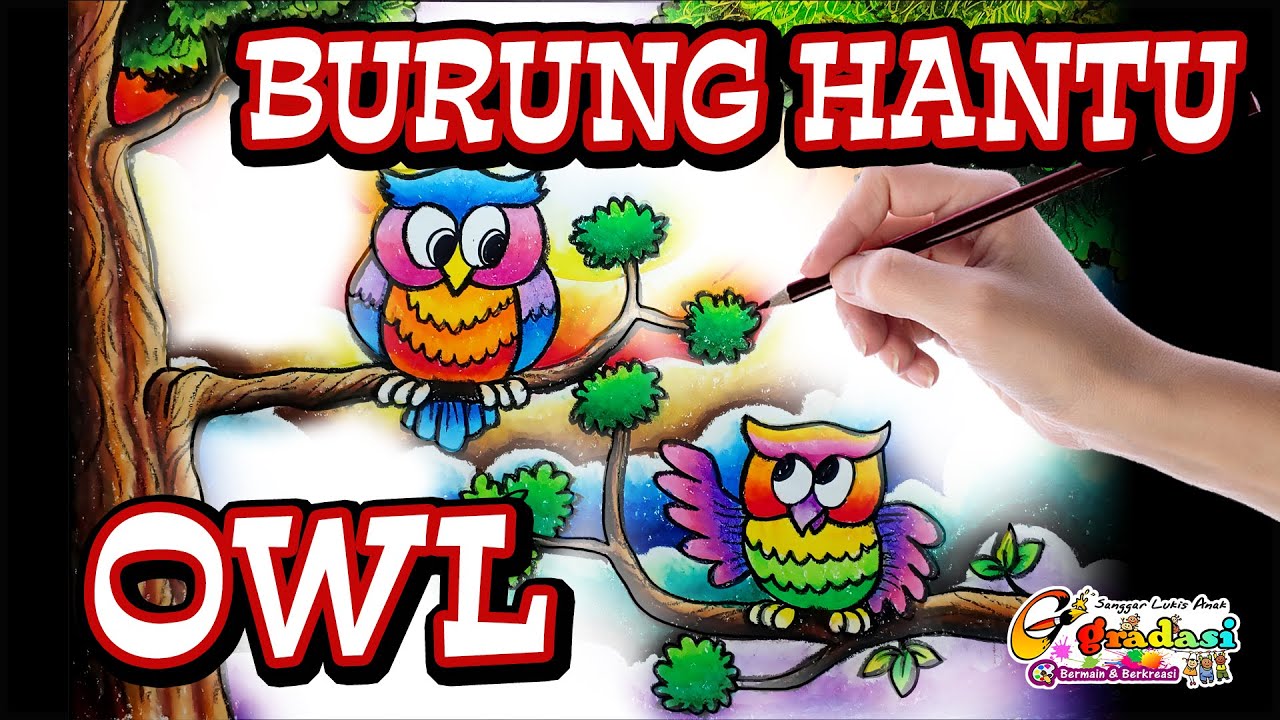 Detail Menggambar Burung Hantu Nomer 56