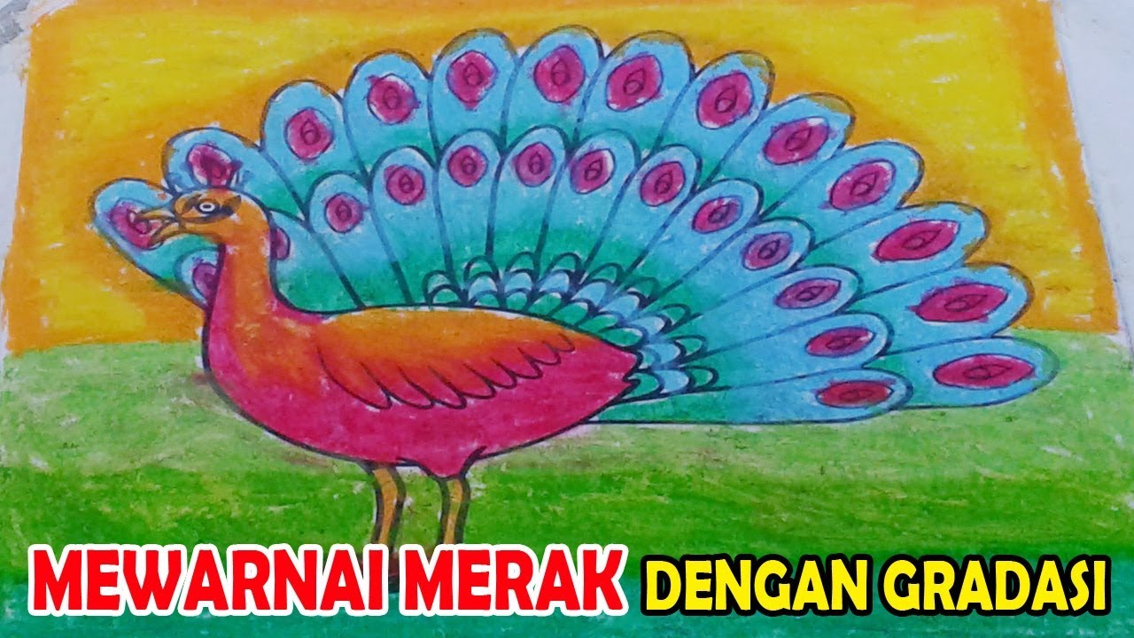 Detail Menggambar Burung Merak Nomer 14