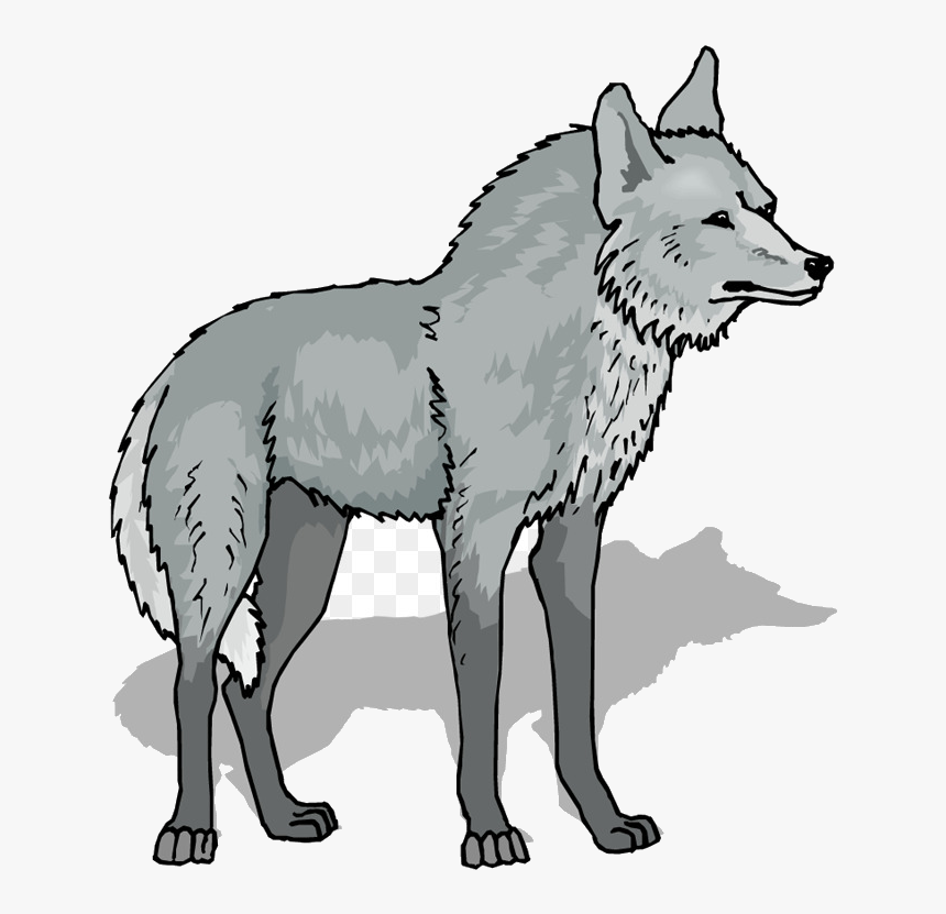 Detail 3 Wolves Drawing Nomer 10