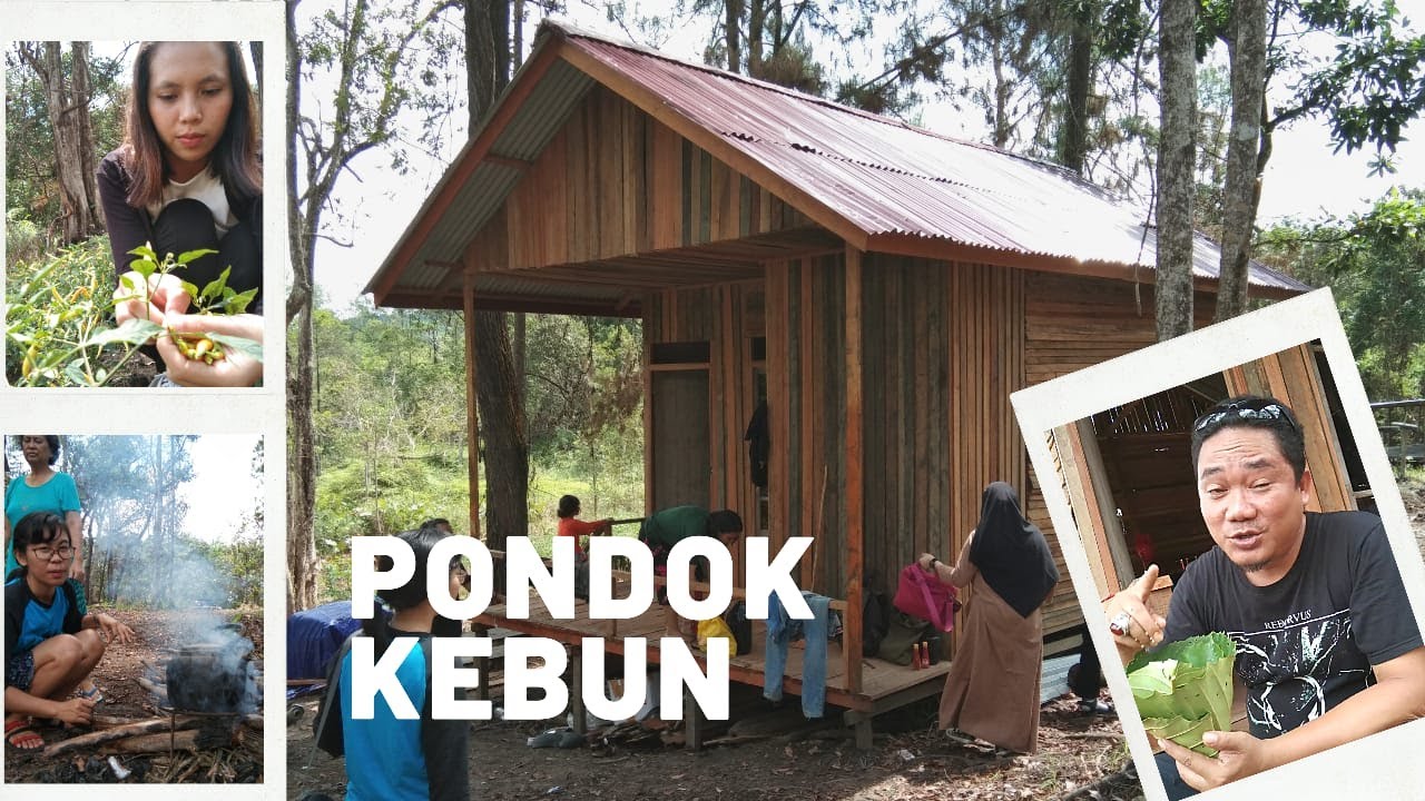 Detail Desain Pondok Kebun Nomer 19
