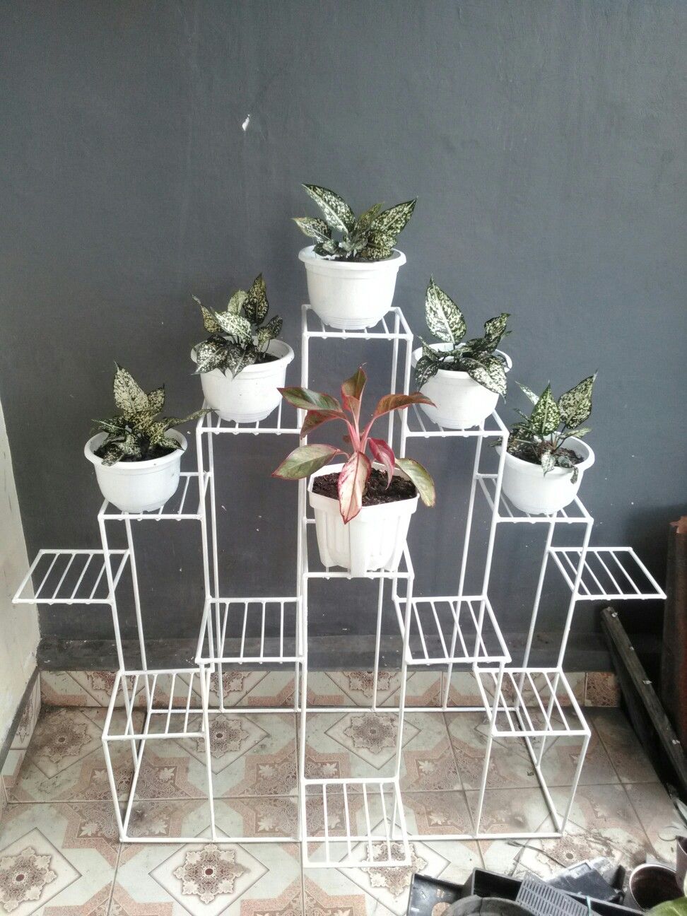 Detail Desain Pot Bunga Dari Besi Nomer 27