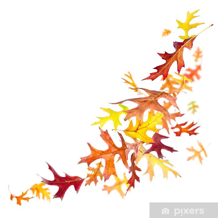 Detail Herbst Poster Nomer 14