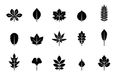 Detail Herbst Poster Nomer 16