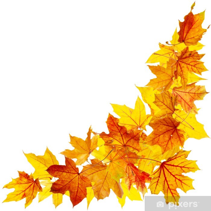 Detail Herbst Poster Nomer 22