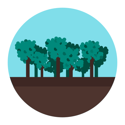 Detail Wald Landschaft Nomer 10