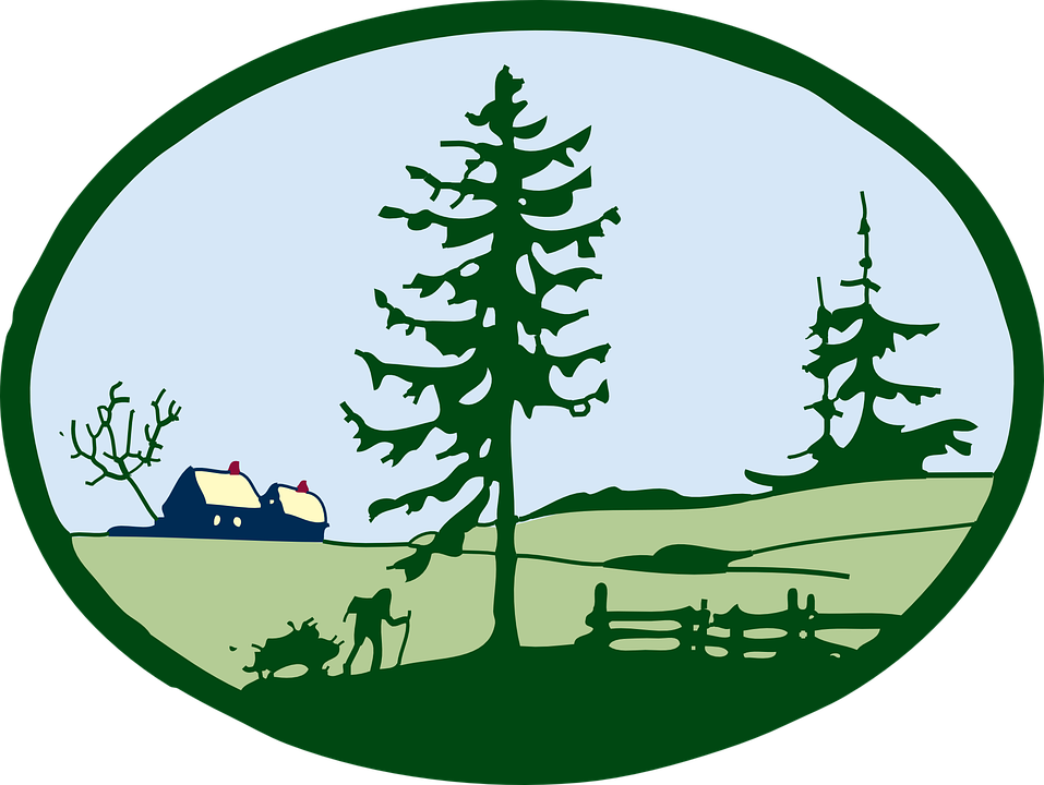 Detail Wald Landschaft Nomer 19