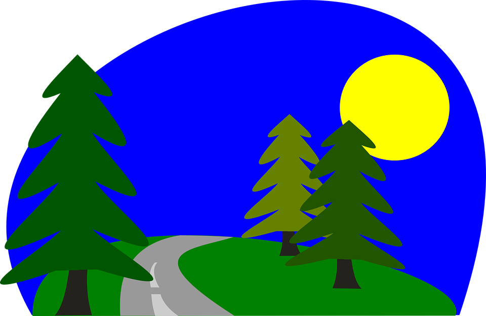 Detail Wald Landschaft Nomer 3