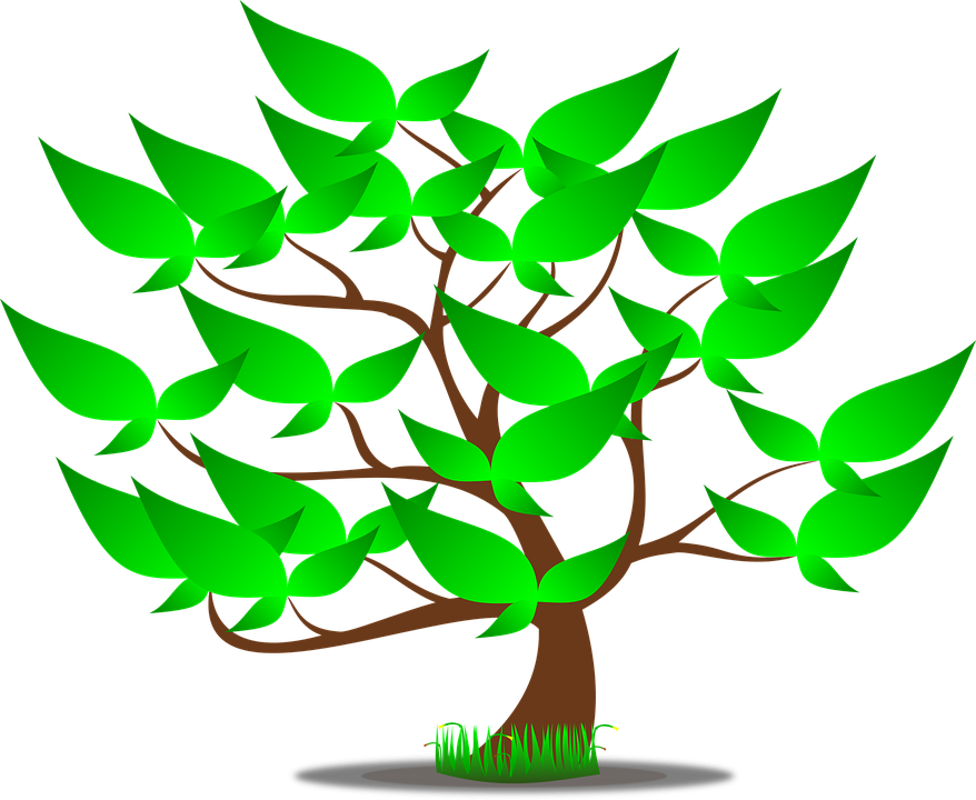 Detail Wald Landschaft Nomer 7