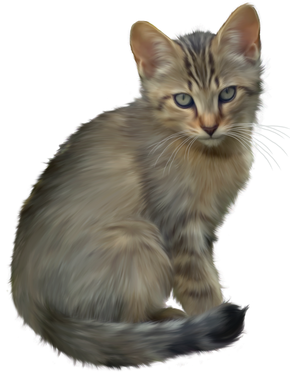 Detail Kitten Transparent Background Nomer 31