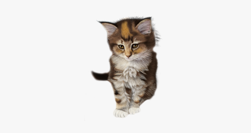 Detail Kitten Transparent Background Nomer 35