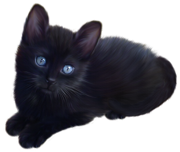 Detail Kitten Transparent Background Nomer 48