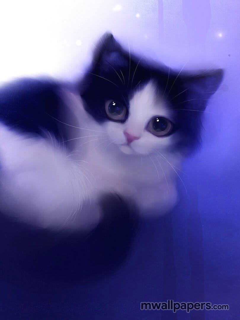 Detail Kitten Wallpaper Hd Nomer 56