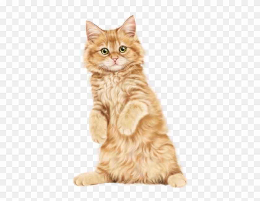 Detail Kittens Transparent Background Nomer 23