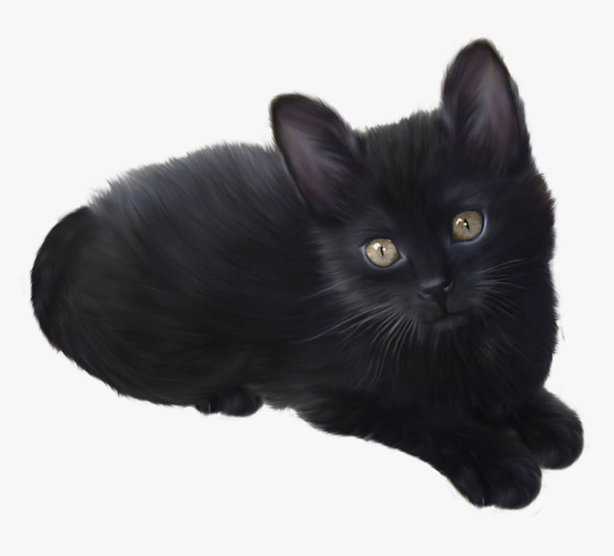 Detail Kittens Transparent Background Nomer 27