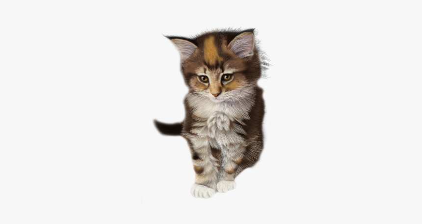 Detail Kittens Transparent Background Nomer 42