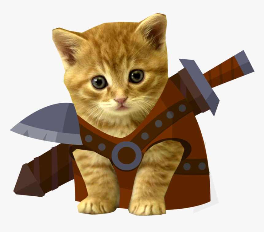 Detail Kittens Transparent Background Nomer 48