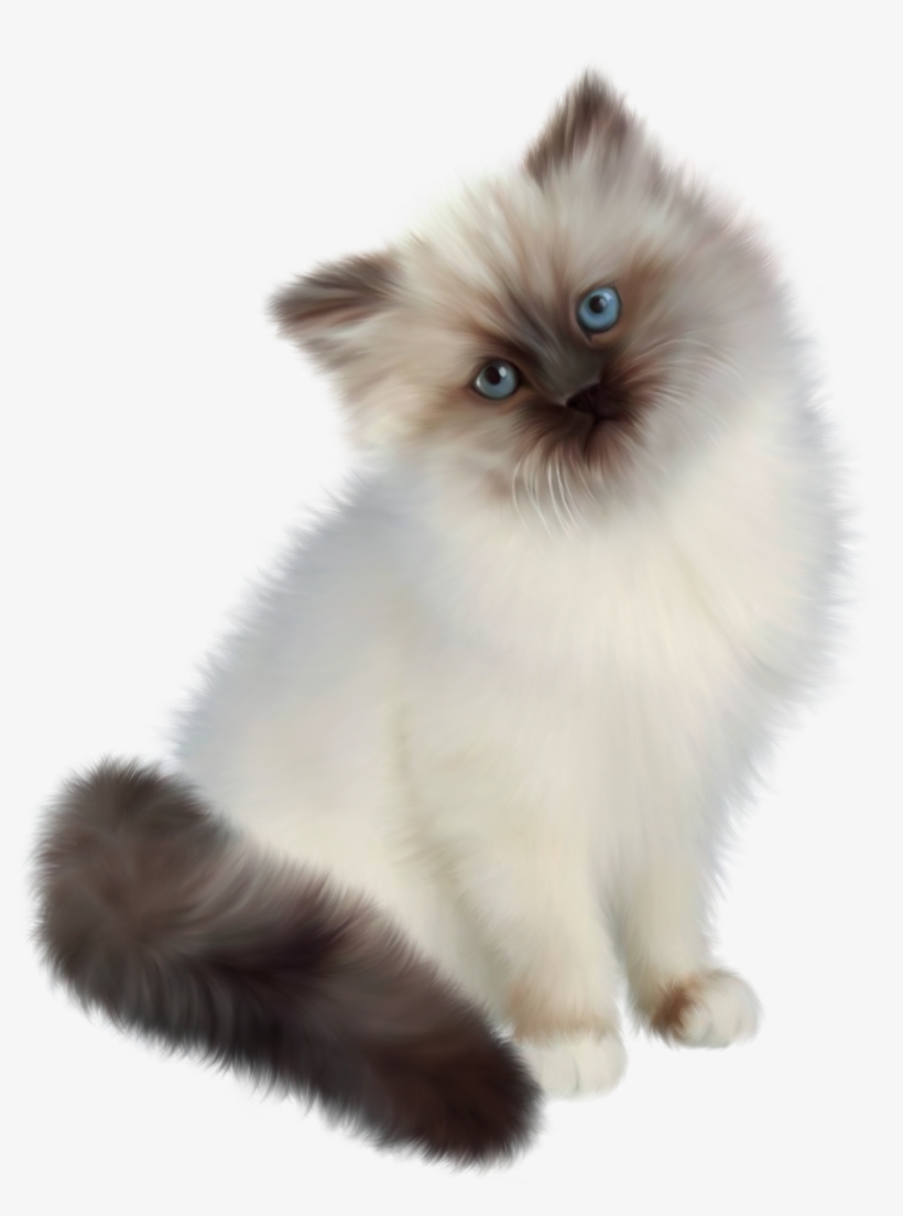 Detail Kittens Transparent Background Nomer 53