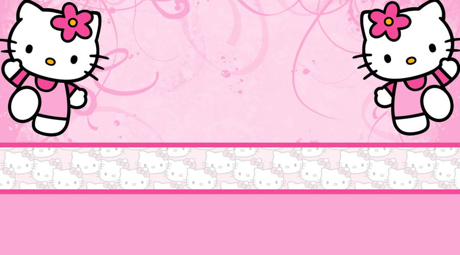 Detail Kitty Pink Nomer 26