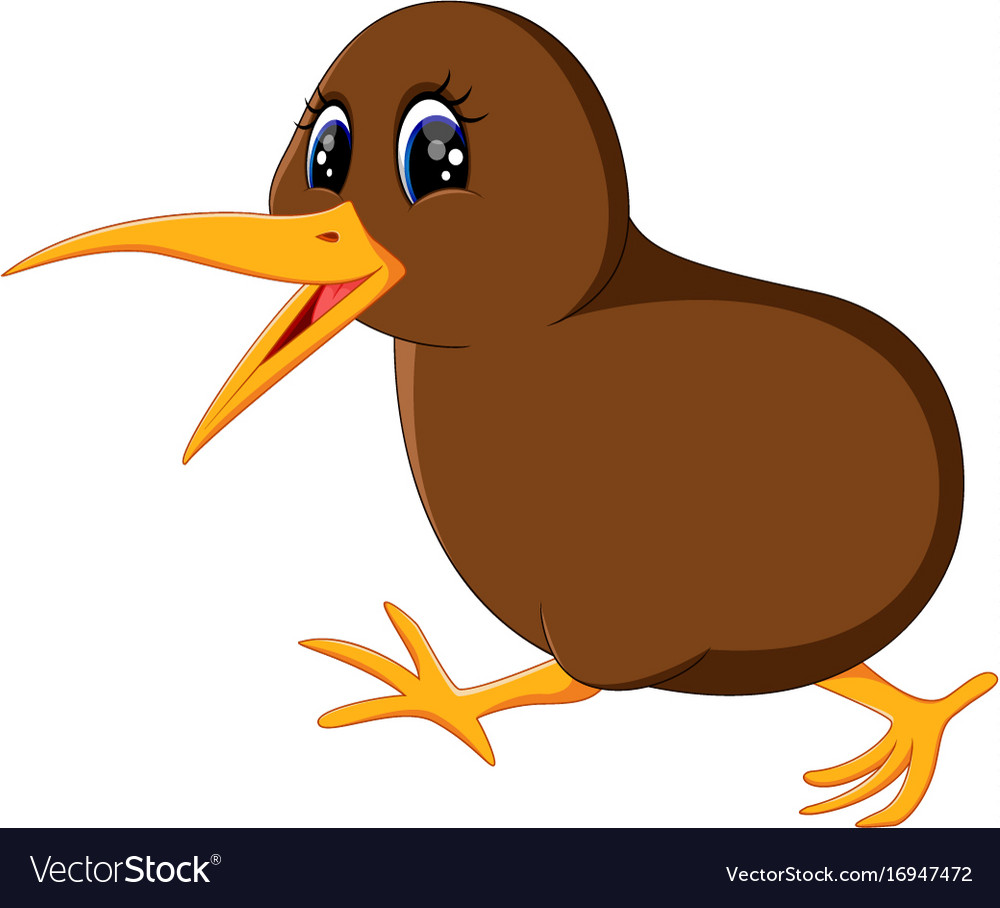 Detail Kiwi Bird Vector Nomer 12