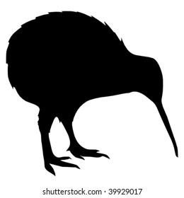 Detail Kiwi Bird Vector Nomer 16