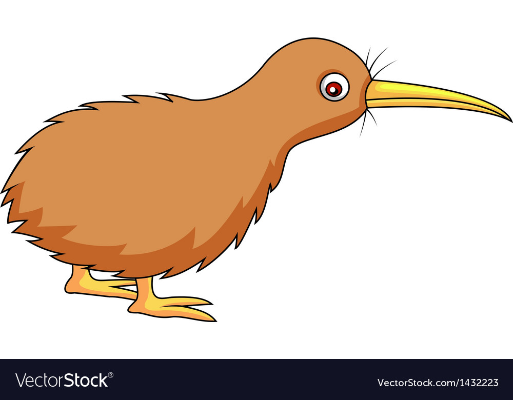 Detail Kiwi Bird Vector Nomer 17