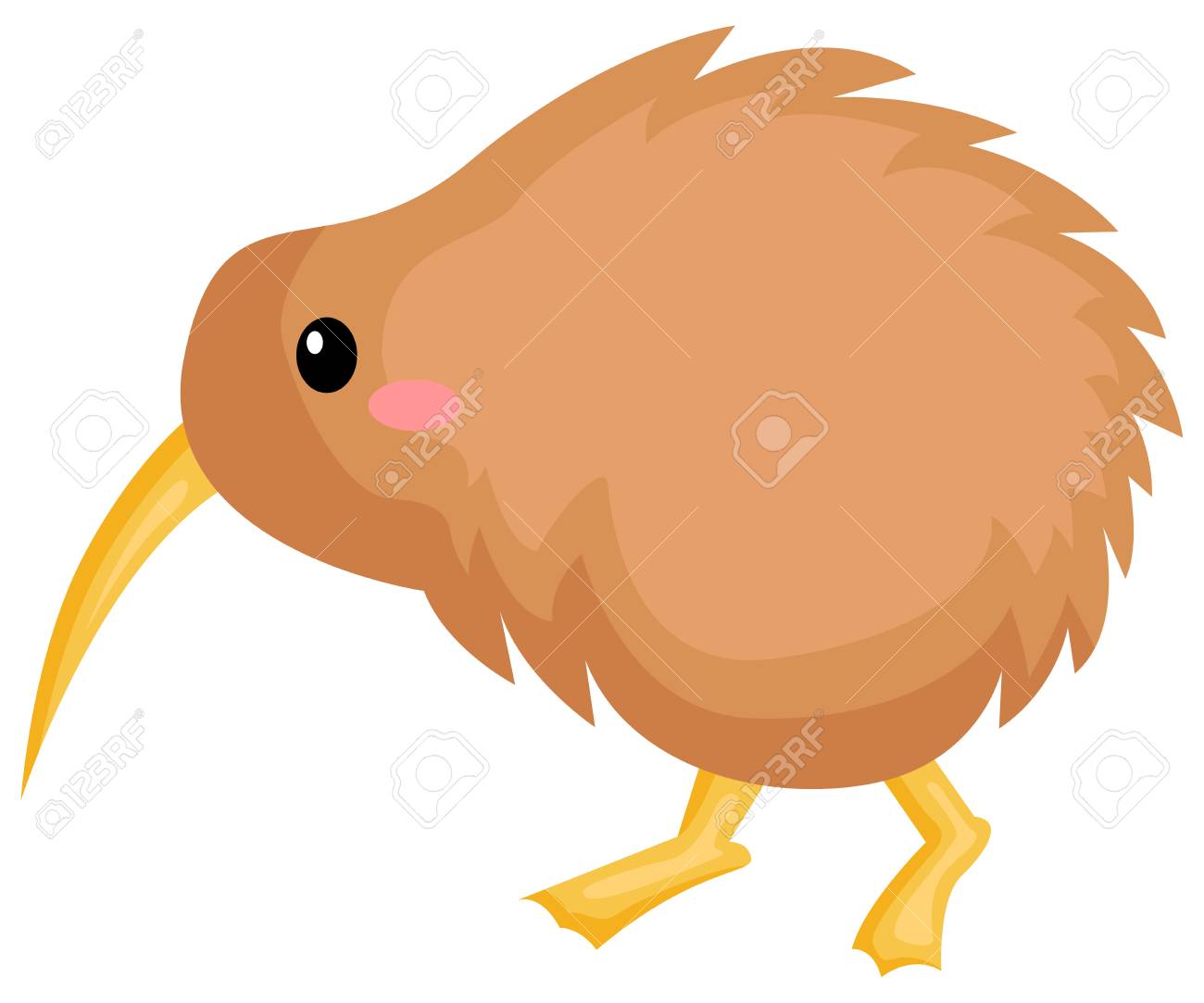 Detail Kiwi Bird Vector Nomer 18