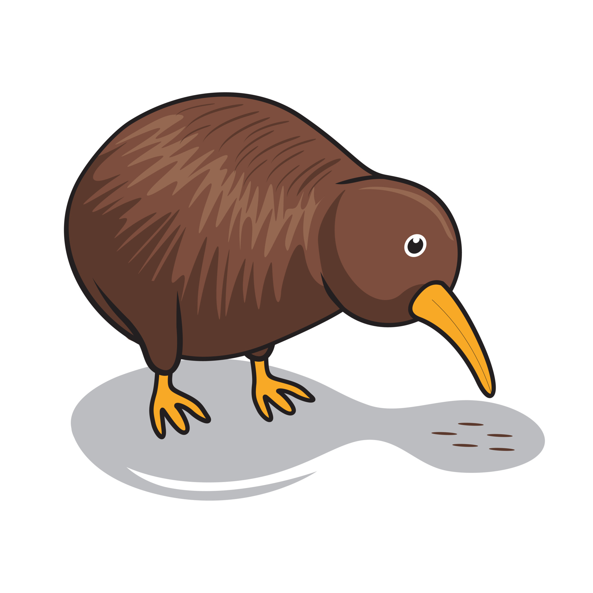 Detail Kiwi Bird Vector Nomer 22