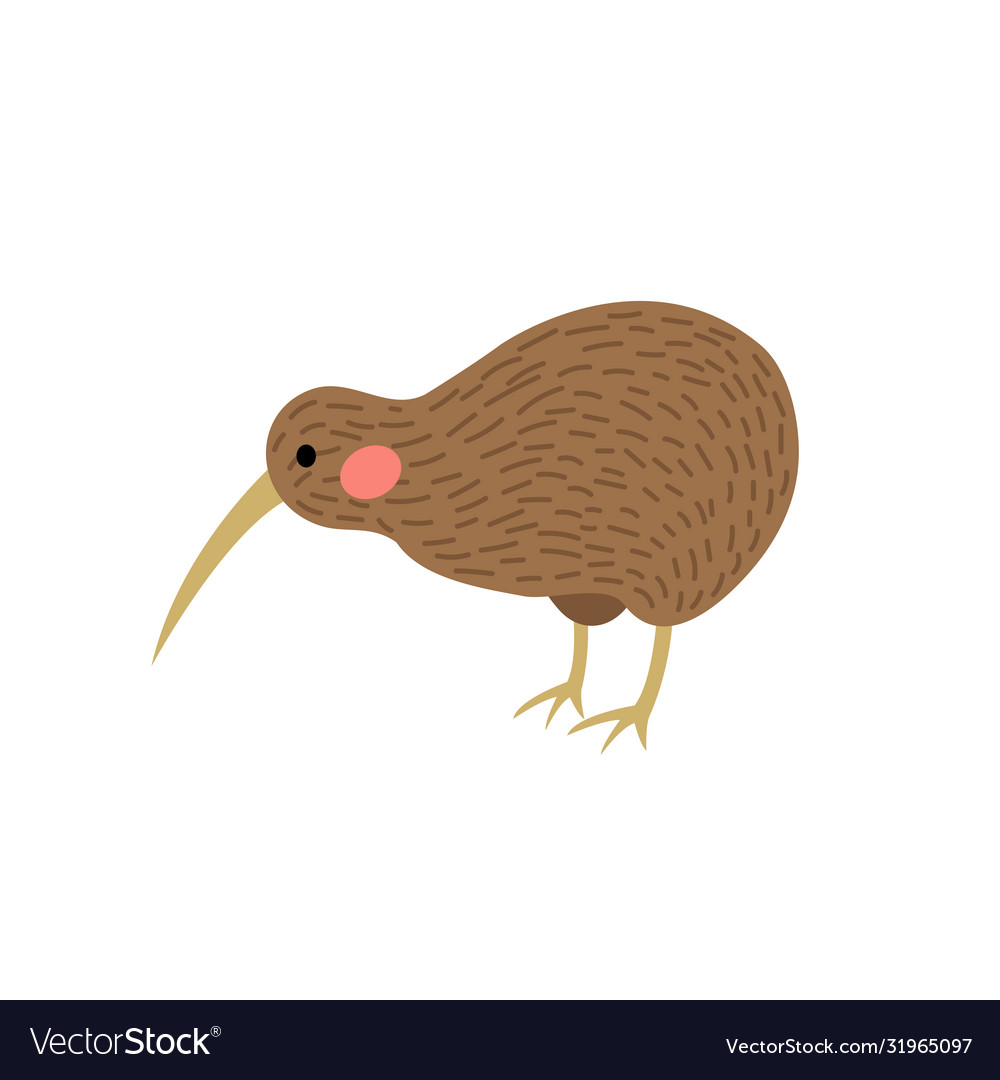 Detail Kiwi Bird Vector Nomer 25