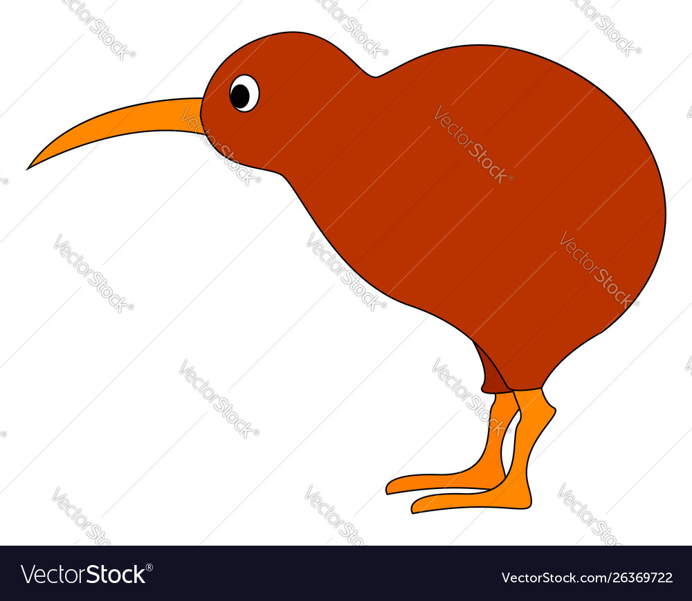 Detail Kiwi Bird Vector Nomer 27