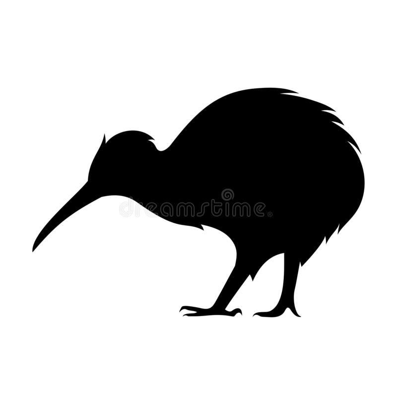 Detail Kiwi Bird Vector Nomer 28