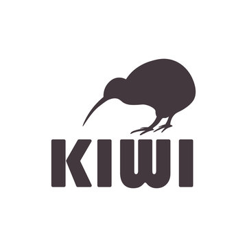 Detail Kiwi Bird Vector Nomer 29