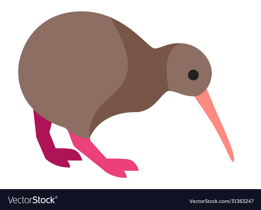 Detail Kiwi Bird Vector Nomer 4