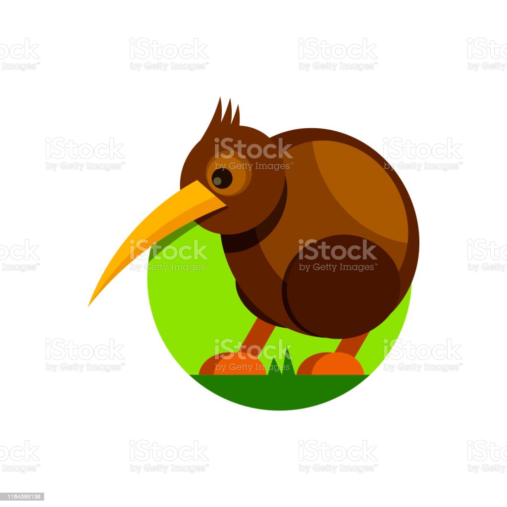 Detail Kiwi Bird Vector Nomer 30