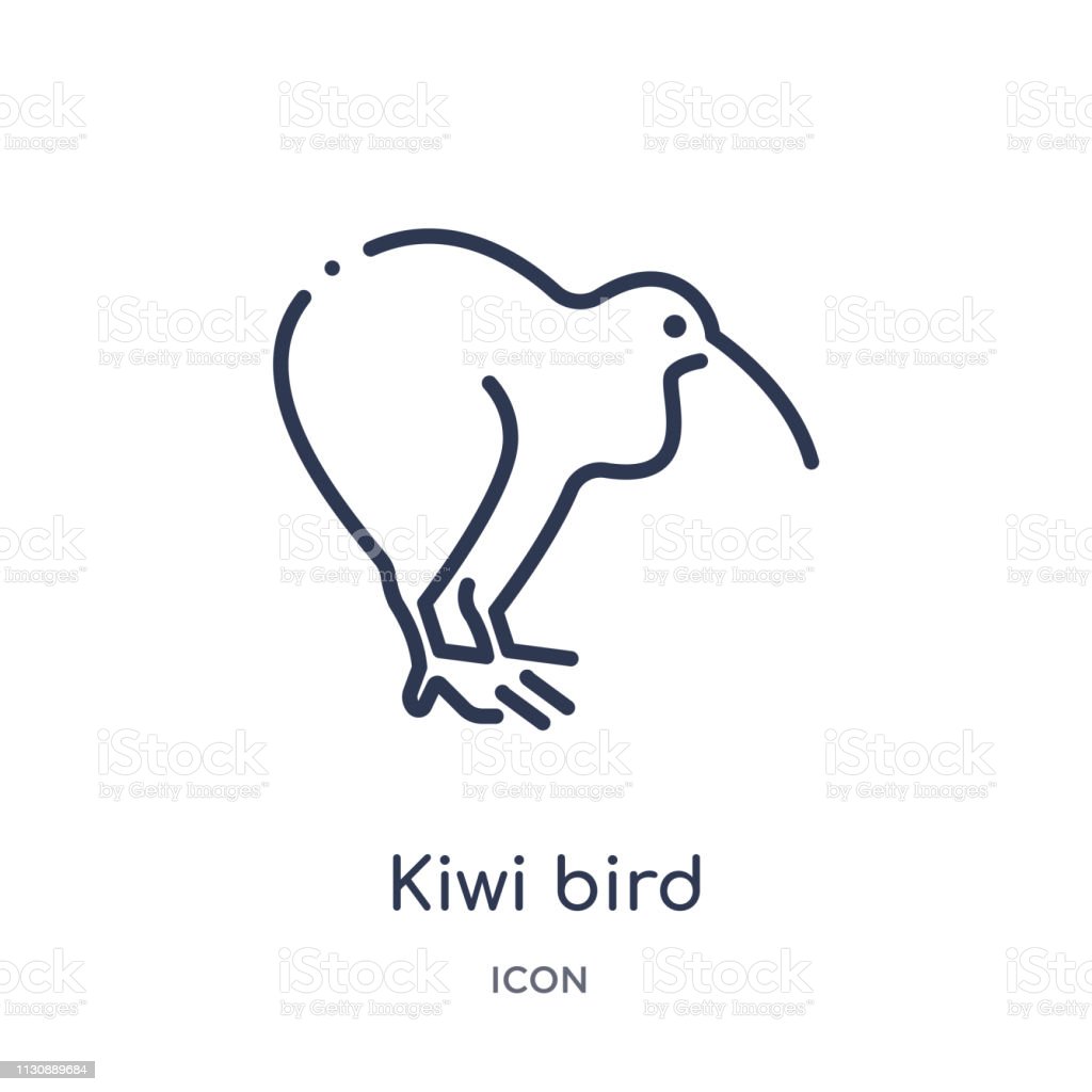 Detail Kiwi Bird Vector Nomer 35