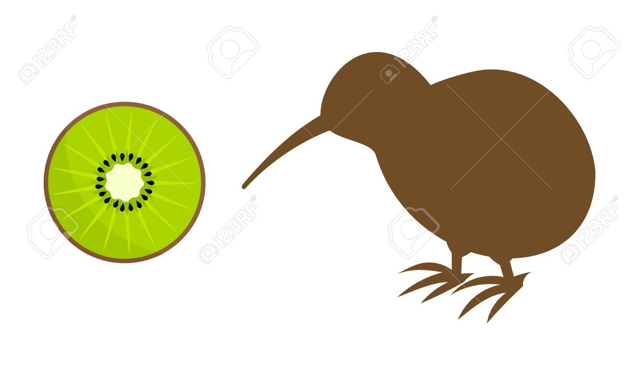 Detail Kiwi Bird Vector Nomer 39