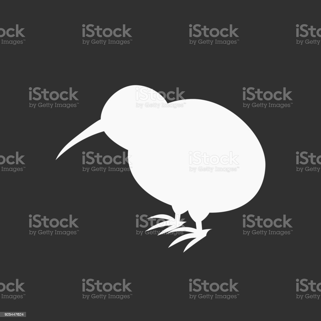 Detail Kiwi Bird Vector Nomer 43