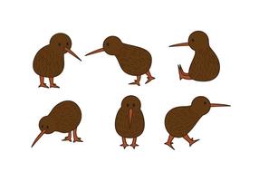 Detail Kiwi Bird Vector Nomer 48