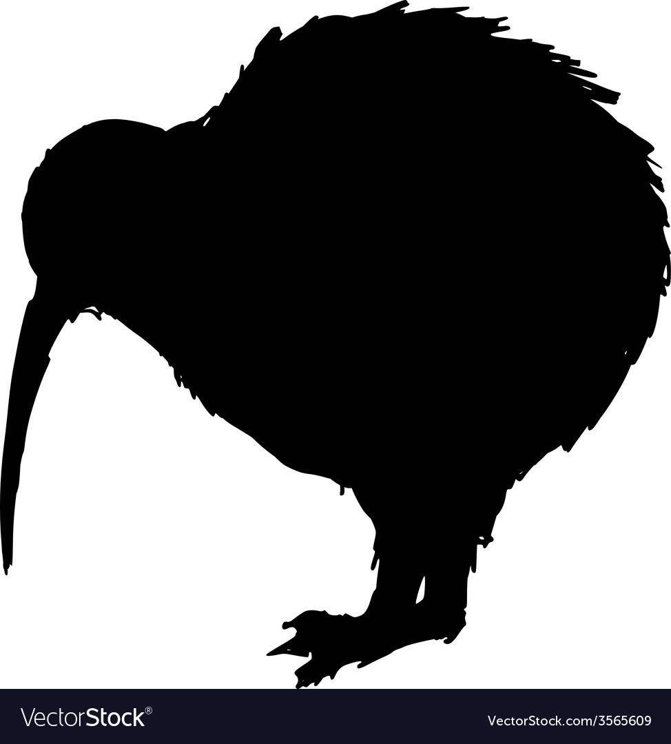 Detail Kiwi Bird Vector Nomer 6