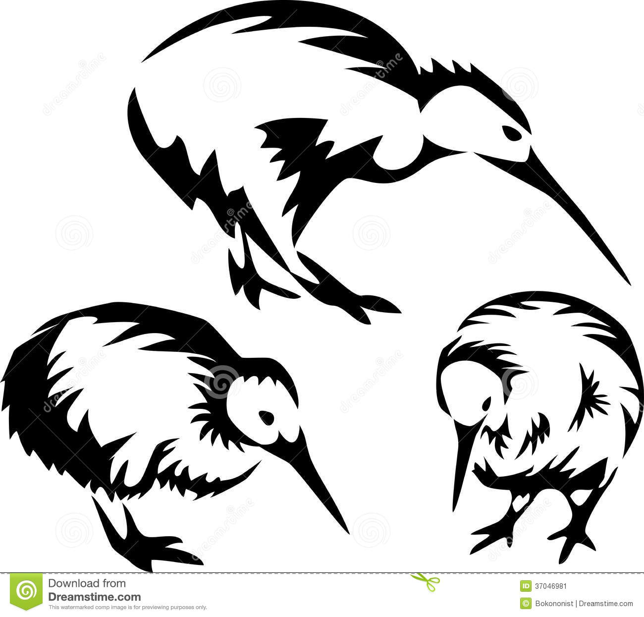 Detail Kiwi Bird Vector Nomer 51