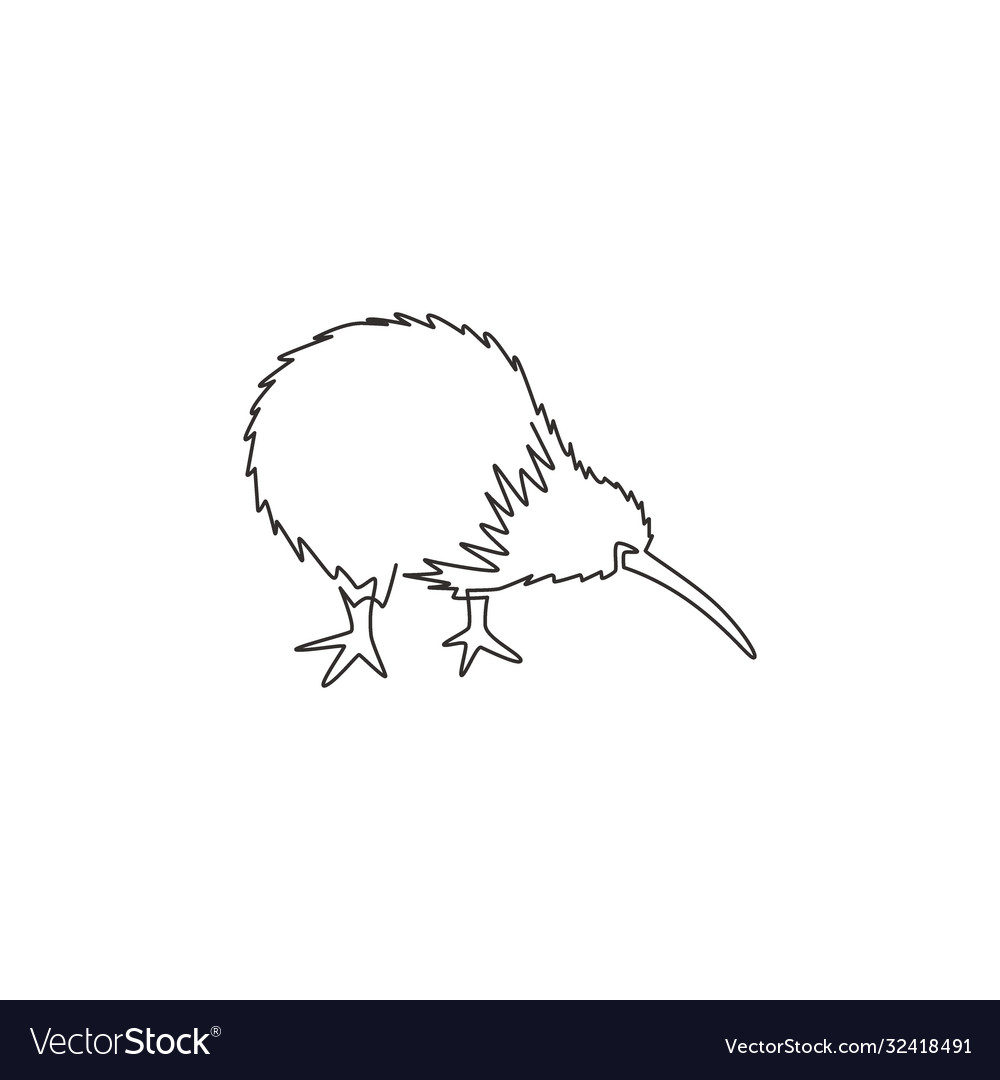 Detail Kiwi Bird Vector Nomer 54