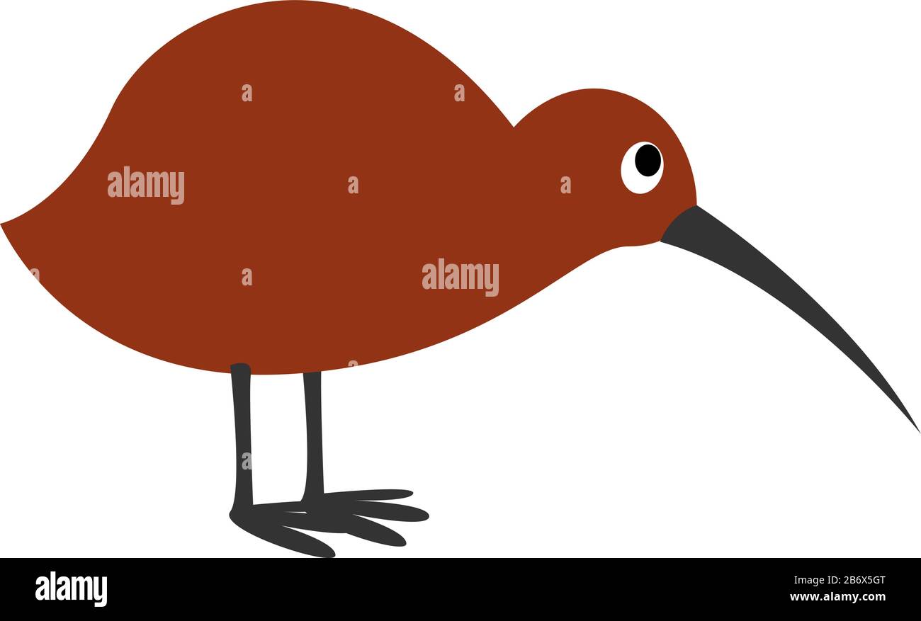 Detail Kiwi Bird Vector Nomer 55