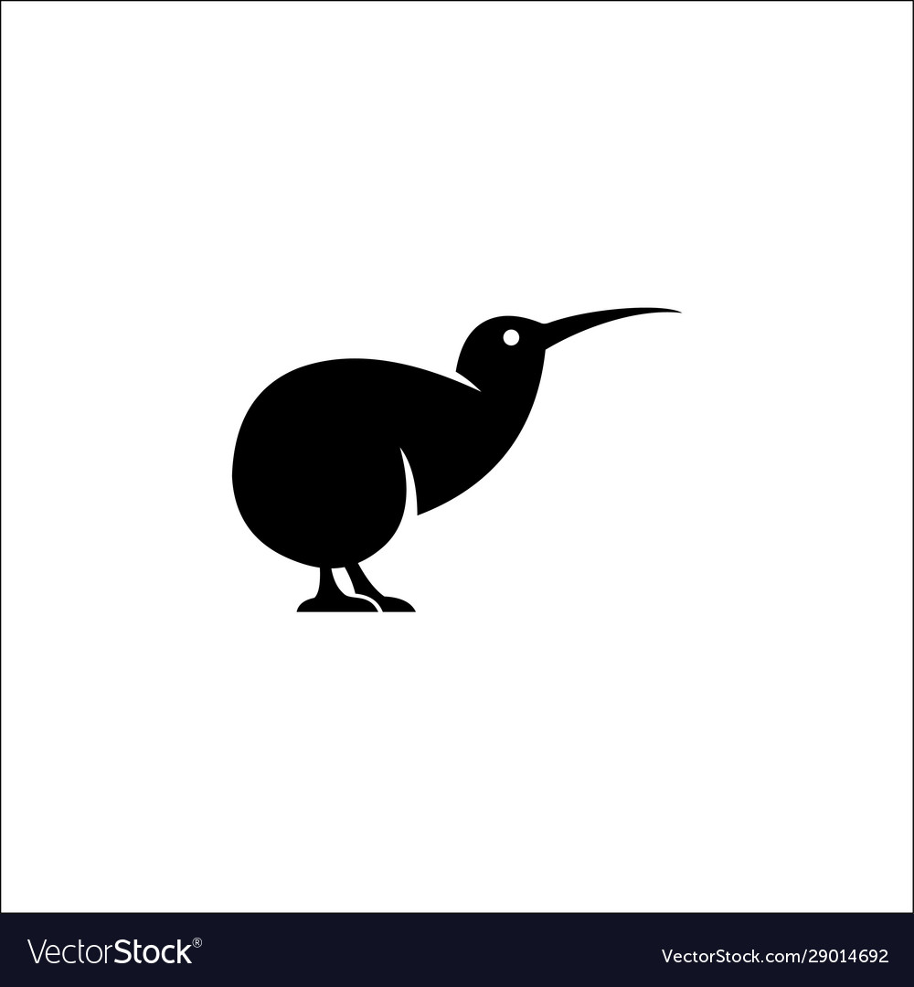 Detail Kiwi Bird Vector Nomer 9