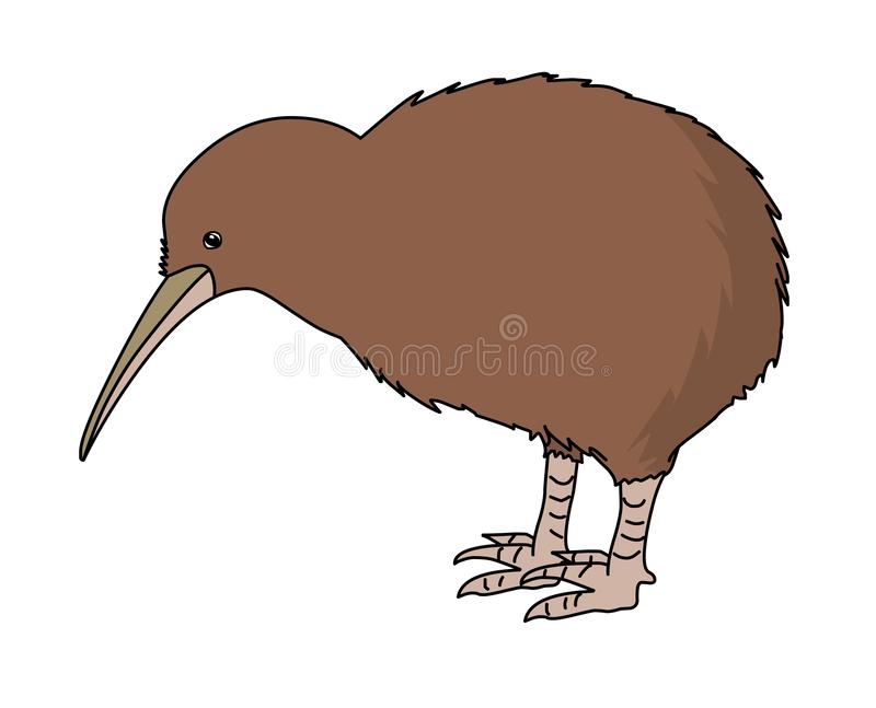 Detail Kiwi Bird Vector Nomer 10