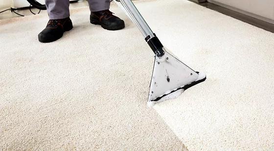 Detail Kiwi Carpet Cleaner Nomer 29
