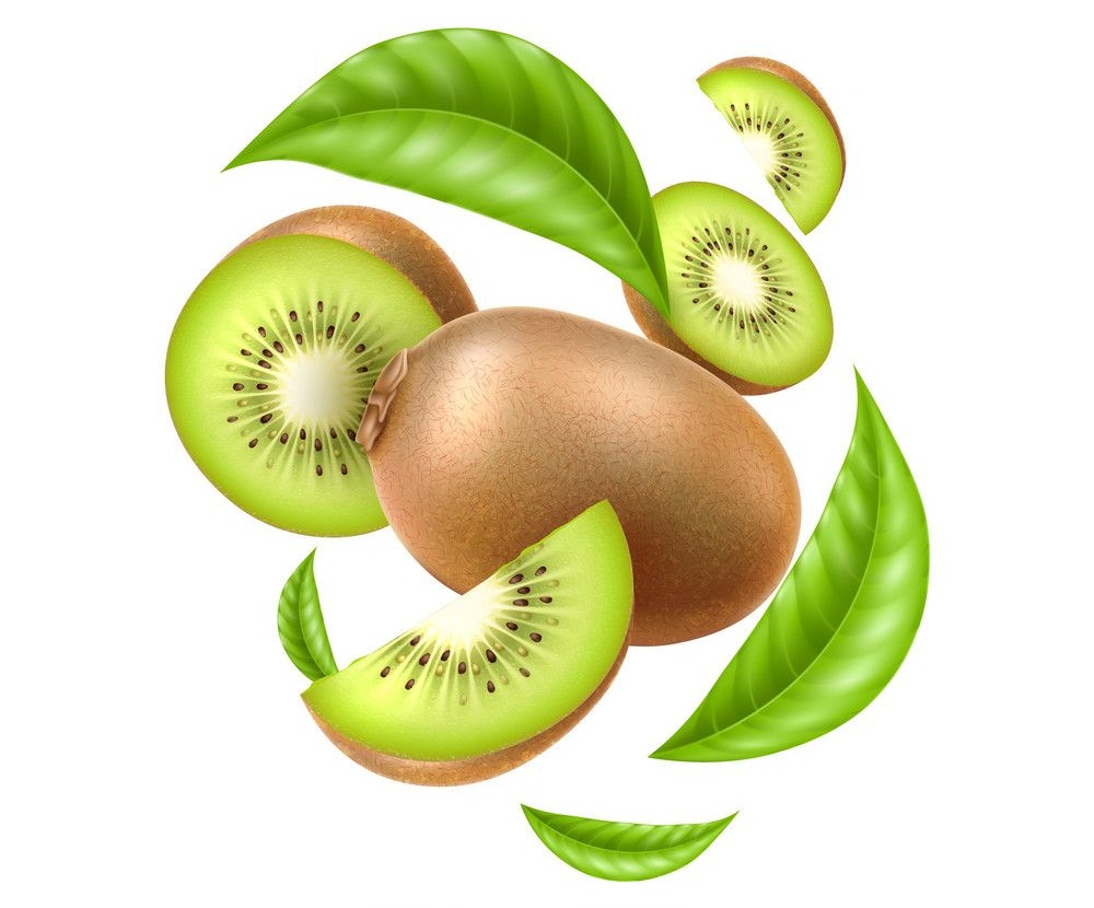 Detail Kiwi Clipart Nomer 29