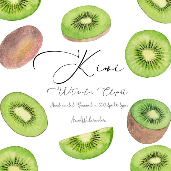 Detail Kiwi Clipart Nomer 36