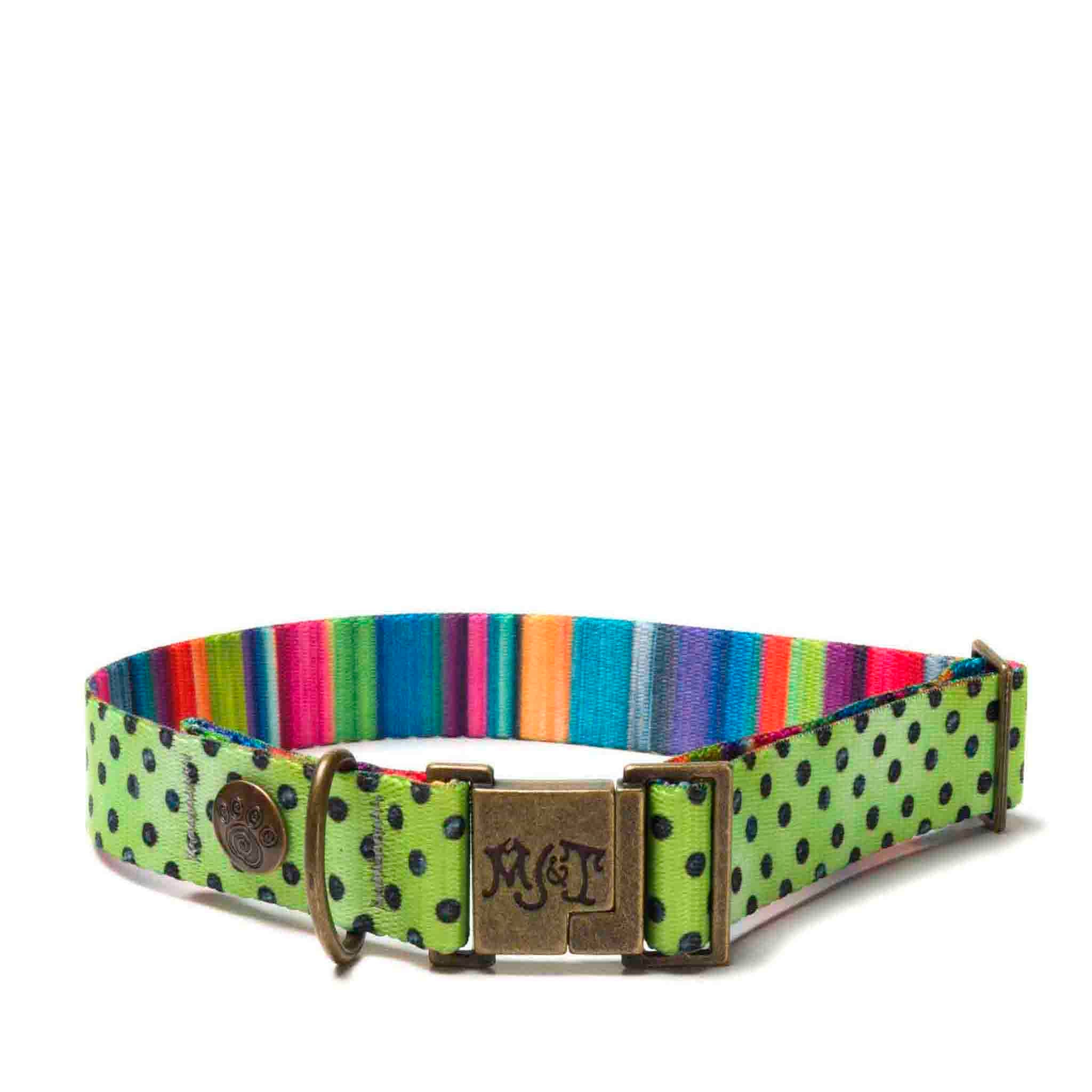 Detail Kiwi Dog Collar Nomer 12