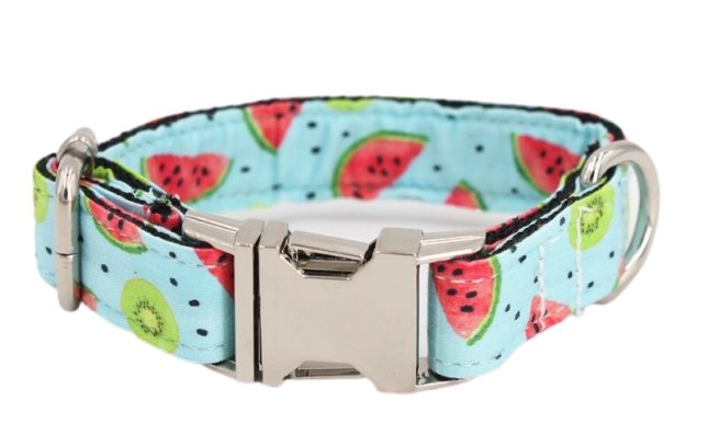 Detail Kiwi Dog Collar Nomer 13