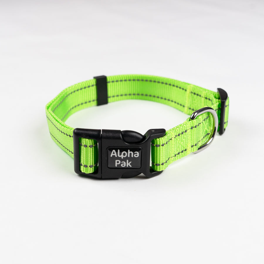 Detail Kiwi Dog Collar Nomer 14